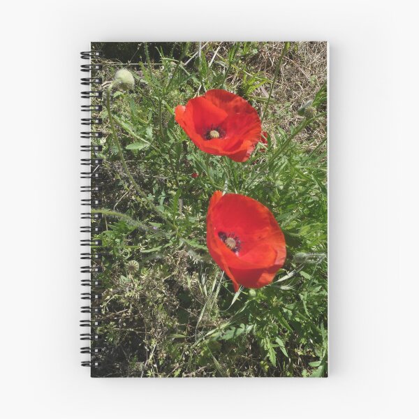 Item preview, 2 poppies designed and sold by MirelleHDB.