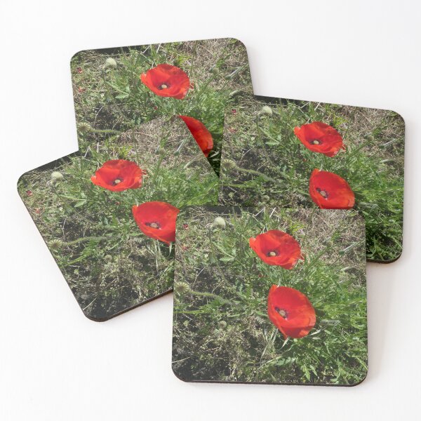 Item preview, 2 poppies designed and sold by MirelleHDB.