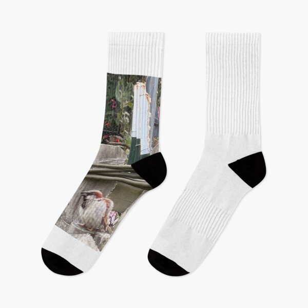 Item preview, Everyday Beauty: The House Sparrow. designed and sold by Pearls1.