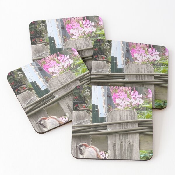 Item preview, Everyday Beauty: The House Sparrow. designed and sold by Pearls1.