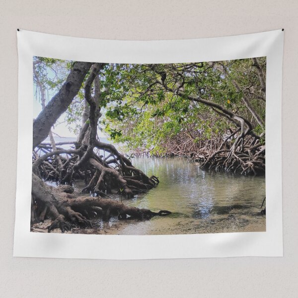 Item preview, Mangrove Caba Rojo designed and sold by The Bori Effect.
