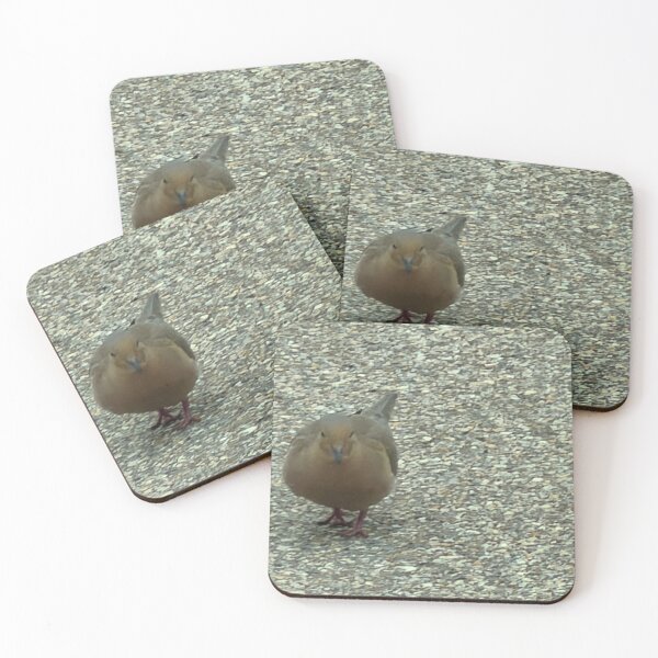 Item preview, Graceful Rock Dove in Natural Pose. designed and sold by Pearls1.