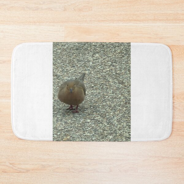 Item preview, Graceful Rock Dove in Natural Pose. designed and sold by Pearls1.