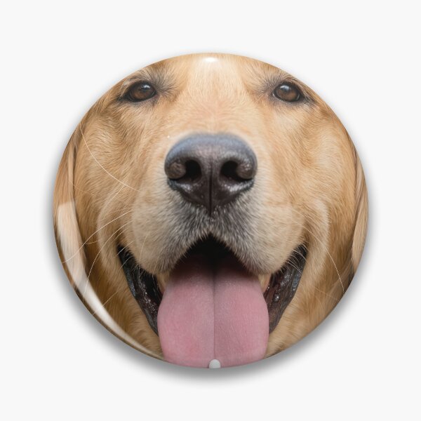 Item preview, Golden Retriever with a Pill on its Tongue designed and sold by Maria Dryfhout.
