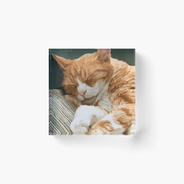 Item preview, A Sleeping Cat designed and sold by Sketch-Shack.