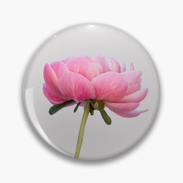 Item preview, Beautiful pink peony flower stem designed and sold by KRFNatureGifts.