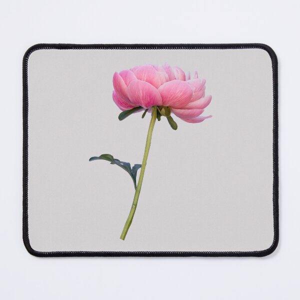 Item preview, Beautiful pink peony flower stem designed and sold by KRFNatureGifts.