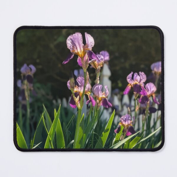 Item preview, Spring Iris designed and sold by Kaleidoscopic Life.