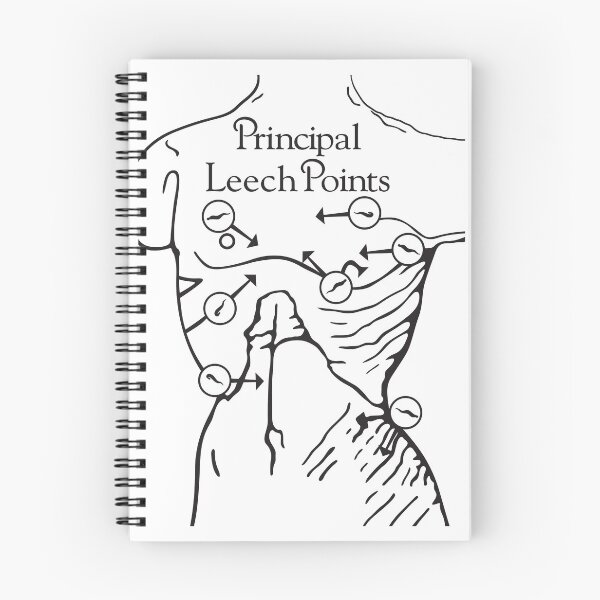 Item preview, Principal Leech Points designed and sold by Off the Box.