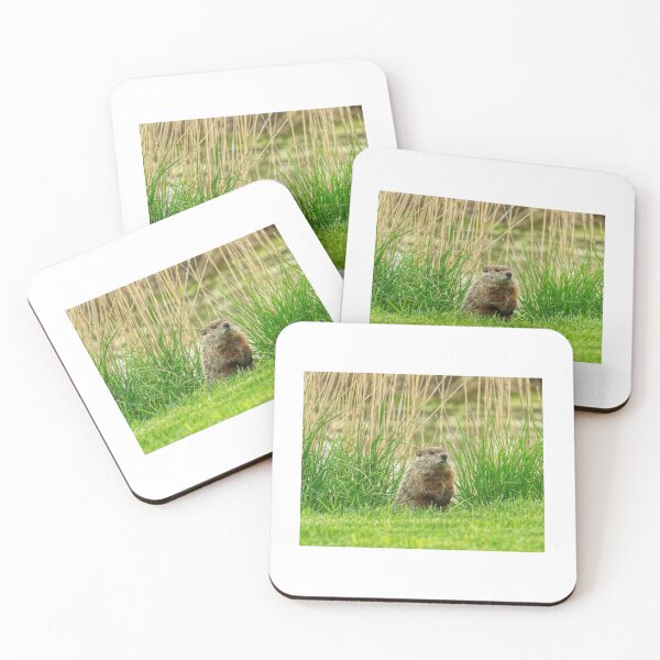 Item preview, Here's Looking at You designed and sold by Chris Coates Photography.com.