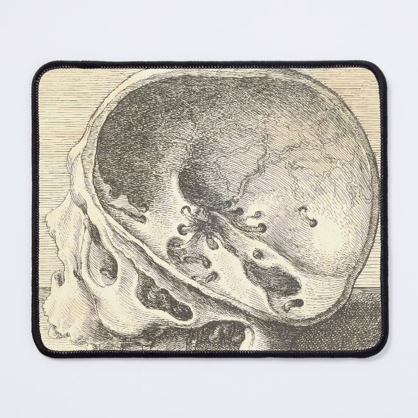 Item preview, Hollar Sectioned Skull | Anatomy Art designed and sold by GammaRay.