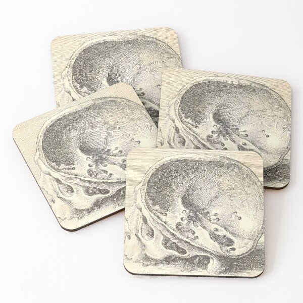 Item preview, Hollar Sectioned Skull | Anatomy Art designed and sold by GammaRay.
