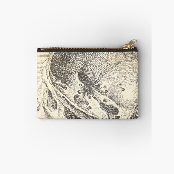 Item preview, Hollar Sectioned Skull | Anatomy Art designed and sold by GammaRay.