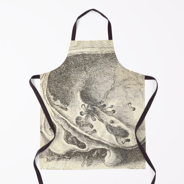 Item preview, Hollar Sectioned Skull | Anatomy Art designed and sold by GammaRay.