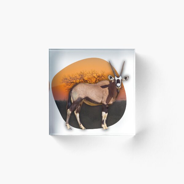 Artikelvorschau, Oryx in der afrikanischen Savanne entworfen und verkauft von re2m.