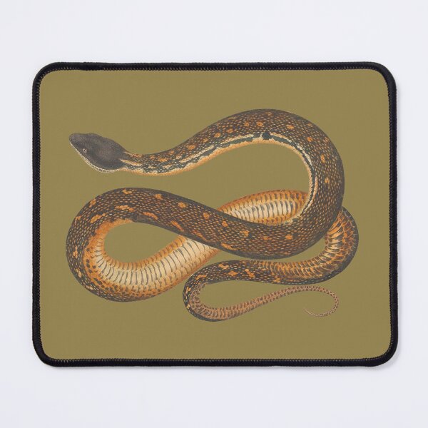 Item preview, vintage brown snake designed and sold by okapia concolor.