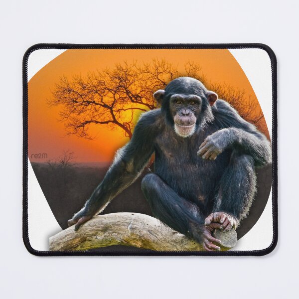 Item preview, Chimpanzee in the African Savannah designed and sold by re2m.