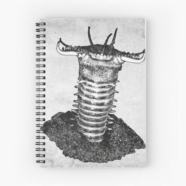 Item preview, Bobbit Worm Eunice Aphroditois Etched Illustration designed and sold by Ghoul Enterprises.