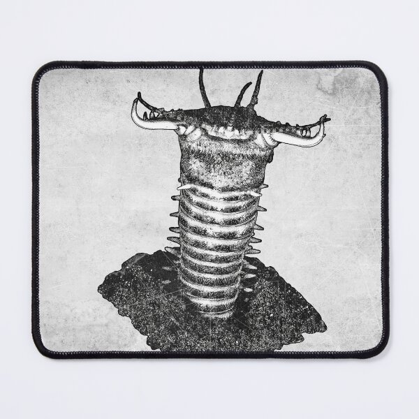 Item preview, Bobbit Worm Eunice Aphroditois Etched Illustration designed and sold by Ghoul Enterprises.