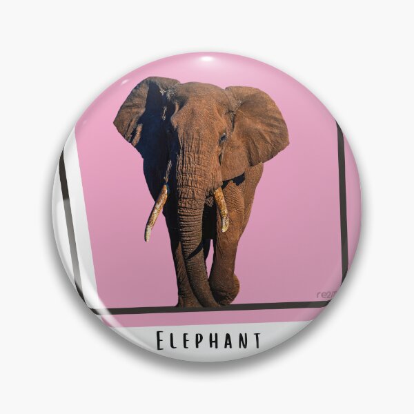 Artikelvorschau, Gerahmter Elefant entworfen und verkauft von re2m.