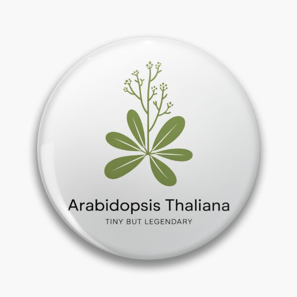 Artikelvorschau, Arabidopsis Thaliana – Klein, aber legendär – Minimalistisches Design für botanische Wissenschaft entworfen und verkauft von ArcticFoxStudio.