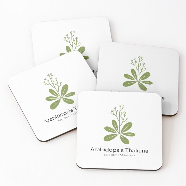 Item preview, Arabidopsis Thaliana Tiny But Legendary – Minimalist Botanical Science Design designed and sold by ArcticFoxStudio.
