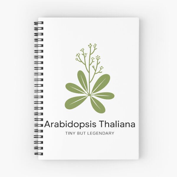 Item preview, Arabidopsis Thaliana Tiny But Legendary – Minimalist Botanical Science Design designed and sold by ArcticFoxStudio.