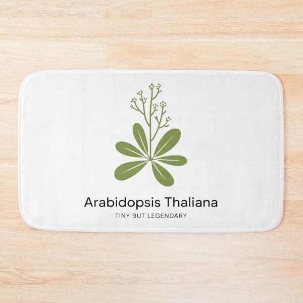 Artikelvorschau, Arabidopsis Thaliana – Klein, aber legendär – Minimalistisches Design für botanische Wissenschaft entworfen und verkauft von ArcticFoxStudio.