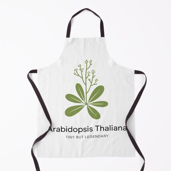 Item preview, Arabidopsis Thaliana Tiny But Legendary – Minimalist Botanical Science Design designed and sold by ArcticFoxStudio.