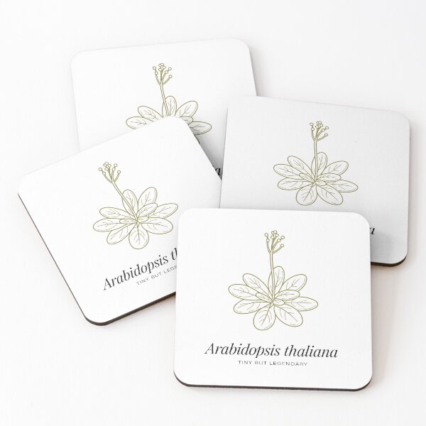 Item preview, Arabidopsis Thaliana Tiny But Legendary – Minimalist Botanical Science Design designed and sold by ArcticFoxStudio.