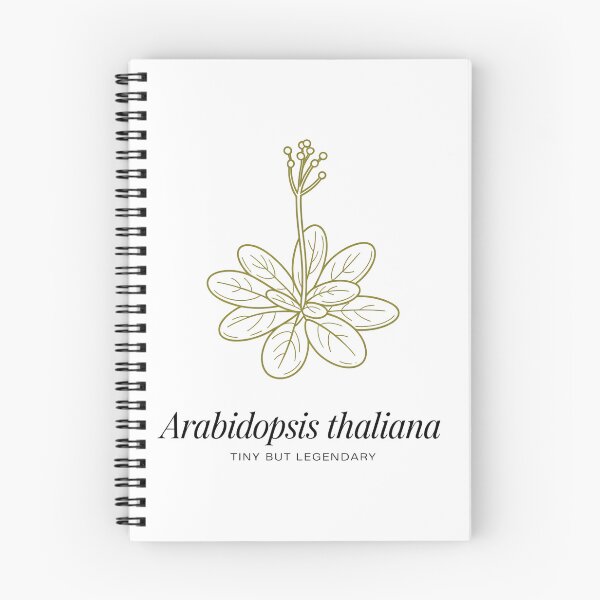 Item preview, Arabidopsis Thaliana Tiny But Legendary – Minimalist Botanical Science Design designed and sold by ArcticFoxStudio.