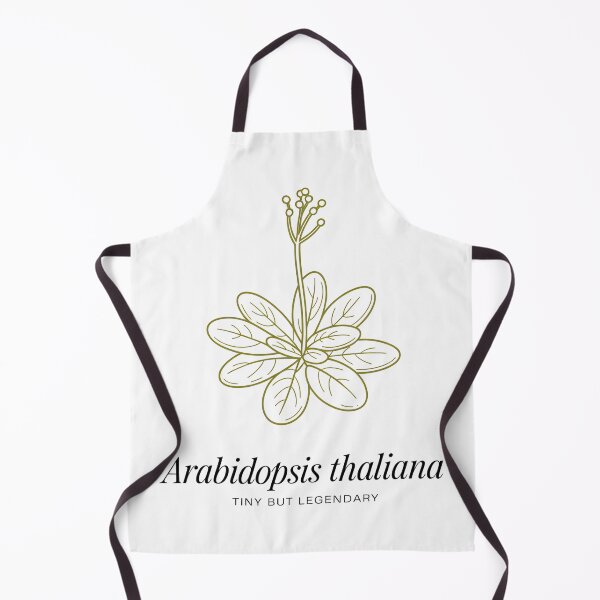Item preview, Arabidopsis Thaliana Tiny But Legendary – Minimalist Botanical Science Design designed and sold by ArcticFoxStudio.