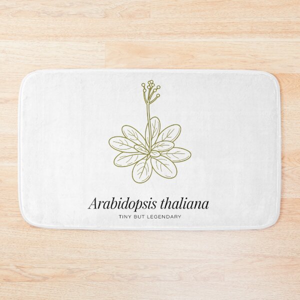 Artikelvorschau, Arabidopsis Thaliana – Klein, aber legendär – Minimalistisches Design für botanische Wissenschaft entworfen und verkauft von ArcticFoxStudio.