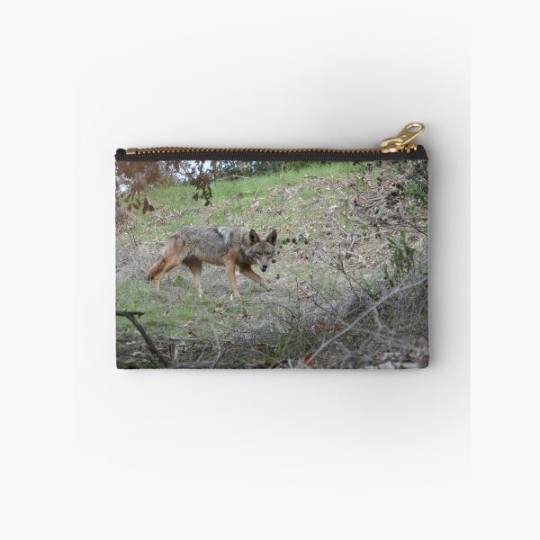 Item preview, The Watchful Wanderer: American Coyote designed and sold by sky earth human.