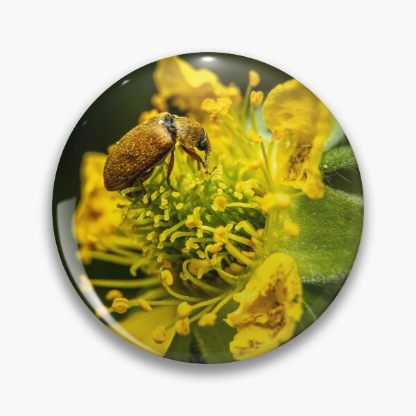 Item preview, Golden Visitor — Beetle on a Yellow Wildflower designed and sold by Rabee Khalil Photography.