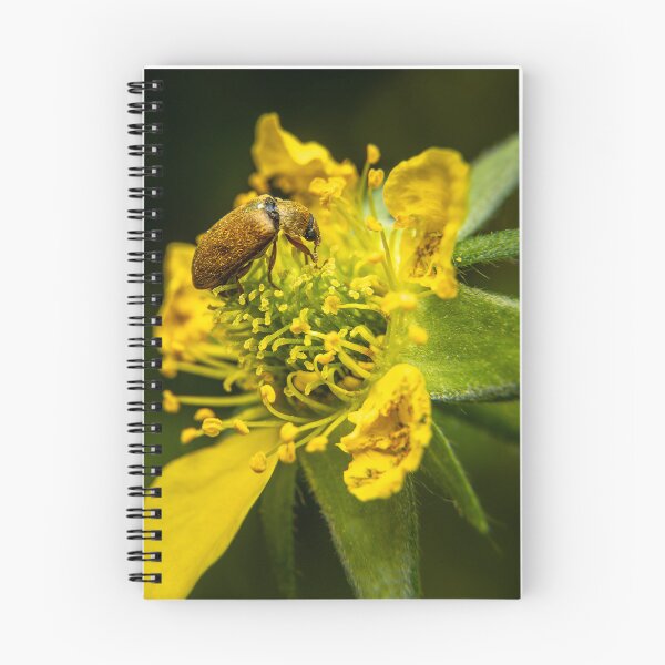 Item preview, Golden Visitor — Beetle on a Yellow Wildflower designed and sold by Rabee Khalil Photography.