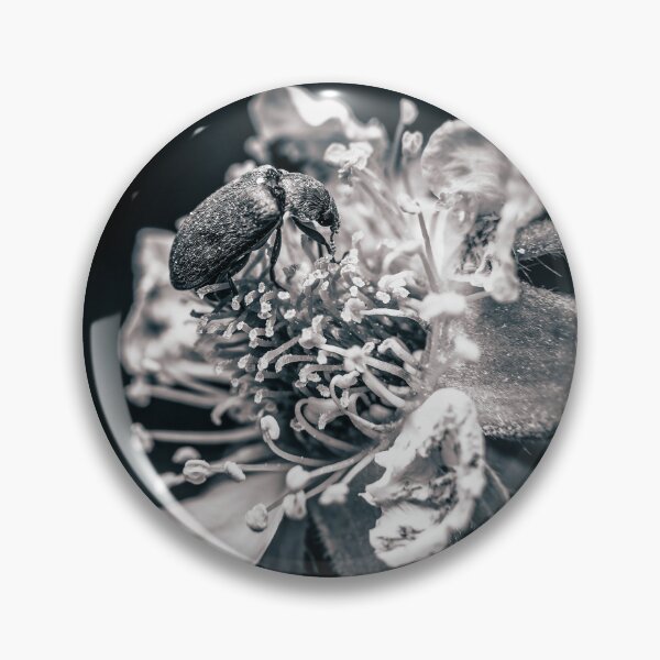 Item preview, Dark Visitor — Beetle on a Wildflower in Black and White designed and sold by Rabee Khalil Photography.