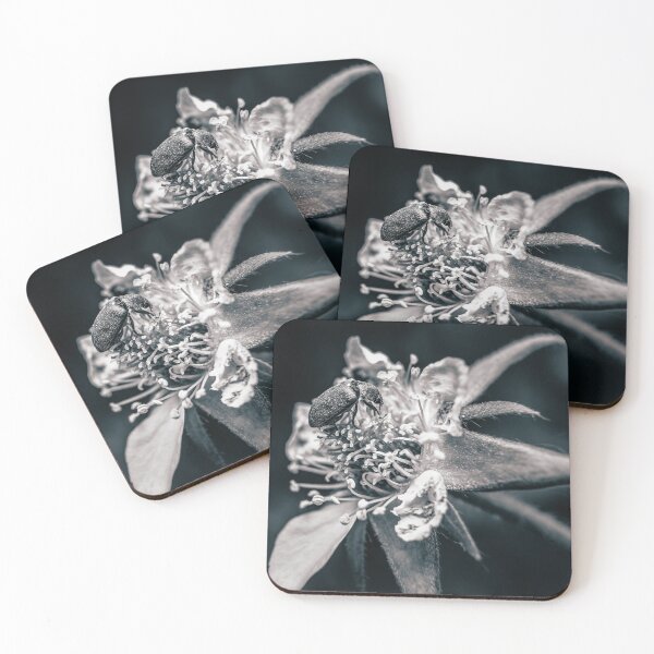 Item preview, Dark Visitor — Beetle on a Wildflower in Black and White designed and sold by Rabee Khalil Photography.