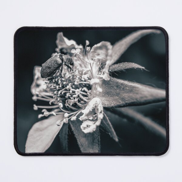 Item preview, Dark Visitor — Beetle on a Wildflower in Black and White designed and sold by Rabee Khalil Photography.