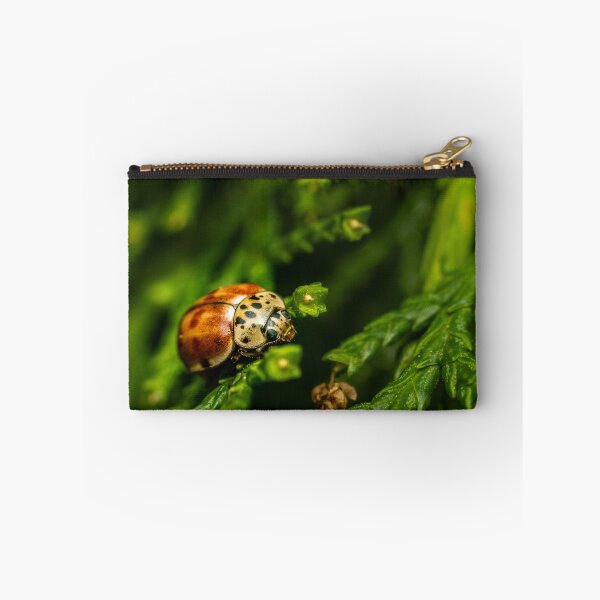 Item preview, he Harlequin — Unusual Ladybird on Green Conifer designed and sold by Rabee Khalil Photography.