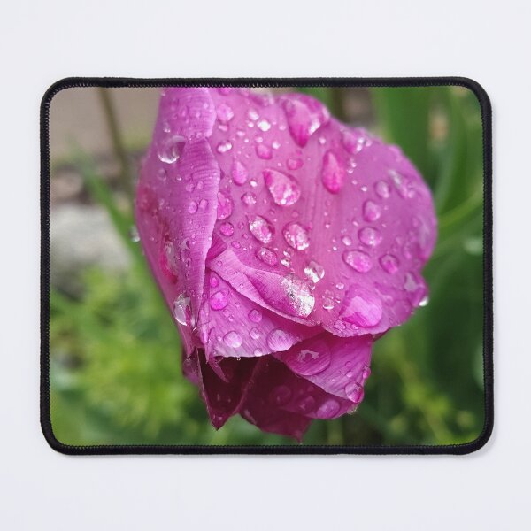 Item preview, Tulip Shift designed and sold by SCTBUFFALOPHOTO.