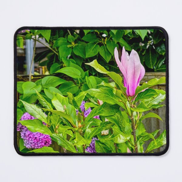 Item preview, Magnolia Tree designed and sold by jalfc46.