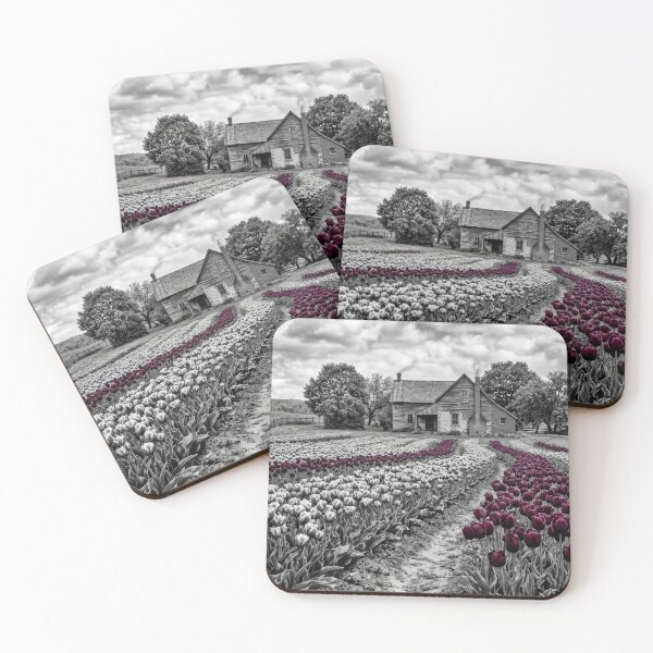 Item preview, Black Tulips designed and sold by CashCrow.