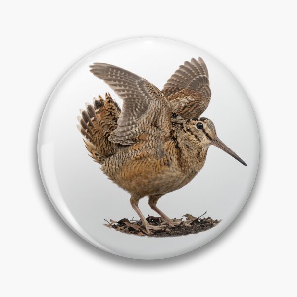 Item preview, Meep Bird - American Woodcock | Cute & Iconic Bird Design designed and sold by HelgaCraftery.