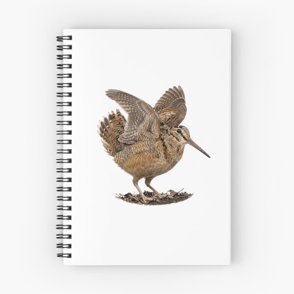 Item preview, Meep Bird - American Woodcock | Cute & Iconic Bird Design designed and sold by HelgaCraftery.