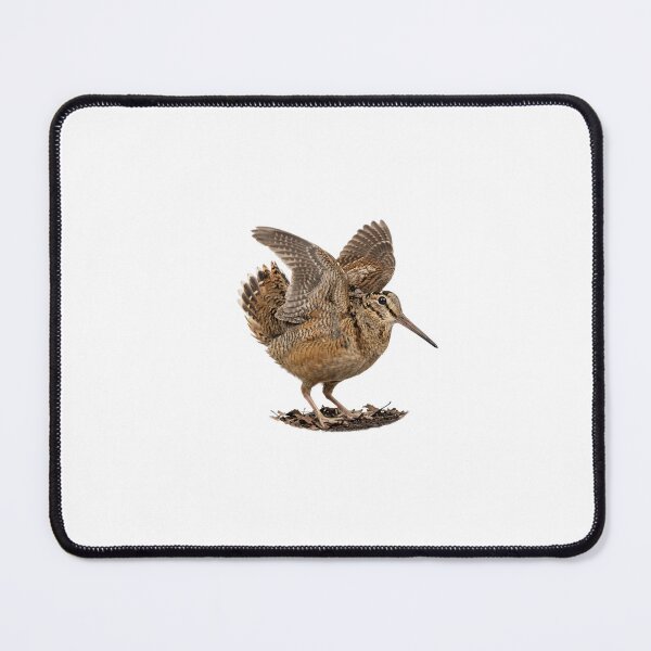 Item preview, Meep Bird - American Woodcock | Cute & Iconic Bird Design designed and sold by HelgaCraftery.