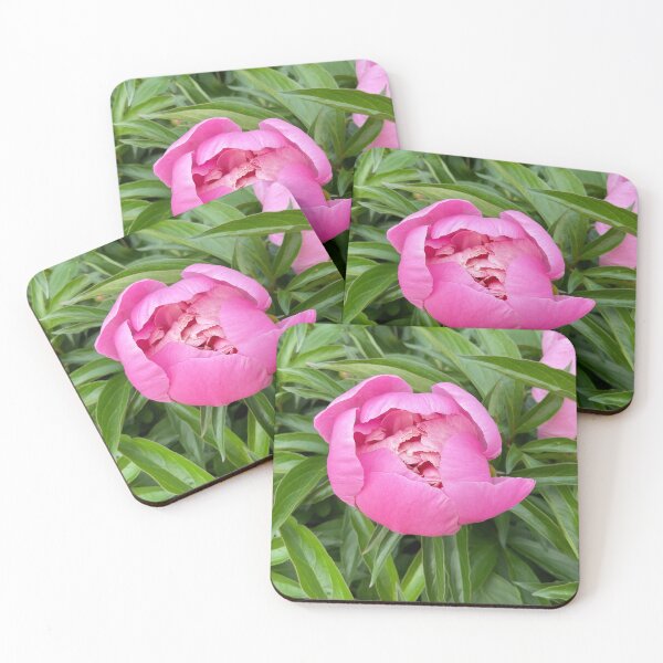 Item preview, Peony Pleasures 7 designed and sold by Abeink1030.