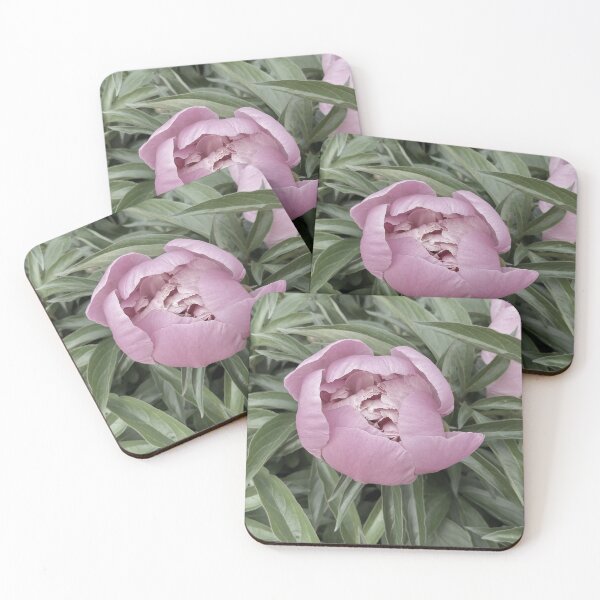 Item preview, Peony Pleasures 8 designed and sold by Abeink1030.