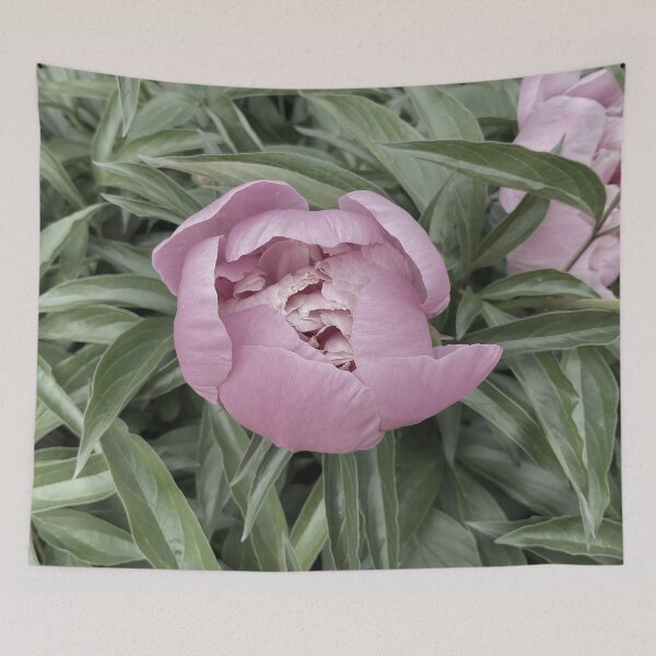 Item preview, Peony Pleasures 8 designed and sold by Abeink1030.