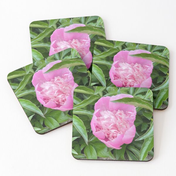 Item preview, Peony Pleasures 9 designed and sold by Abeink1030.